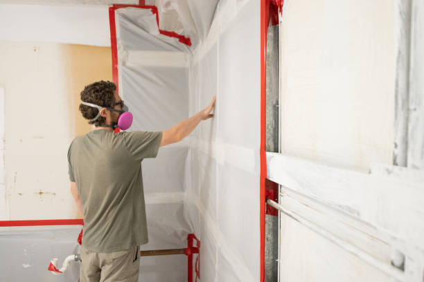 Best Water Damage & Mold Remediation  in Salamatof, AK