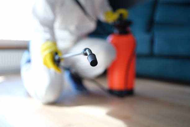 Asbestos and Lead Testing During Mold Inspection in Salamatof, AK