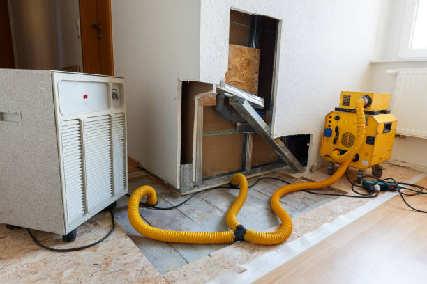 Best Environmental Consulting for Mold Prevention  in Salamatof, AK