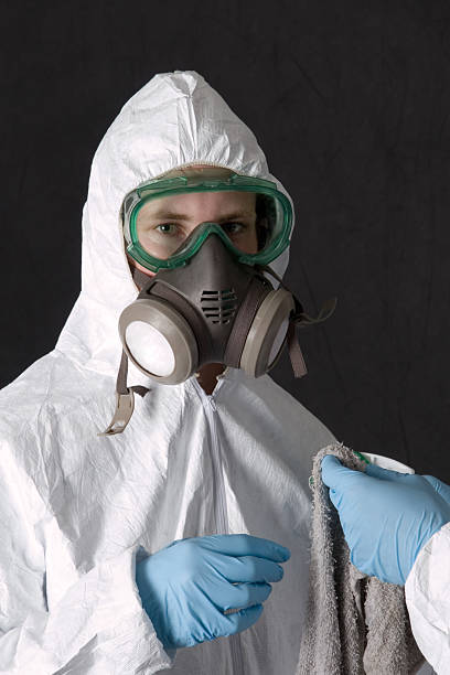 Trusted Salamatof, AK Mold Removal Experts